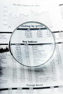 金昌同志供卵选性别：nt值偏高风险大吗下一步检查什么？